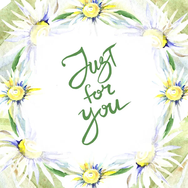 Frame Daisy Flowers Just You Sign Watercolor Background Illustration Set — Stock Photo, Image