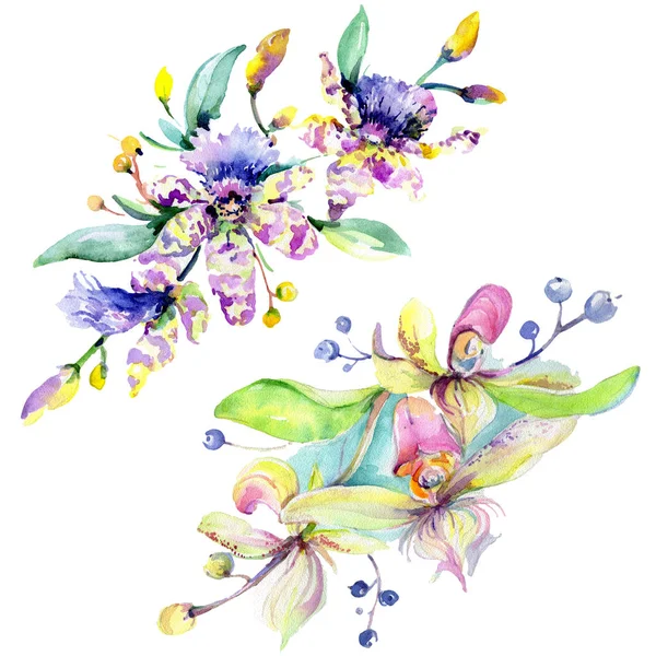 Pembe Mor Orkideler Suluboya Arka Plan Illüstrasyon Küme Suluboya Çiçek — Stok fotoğraf