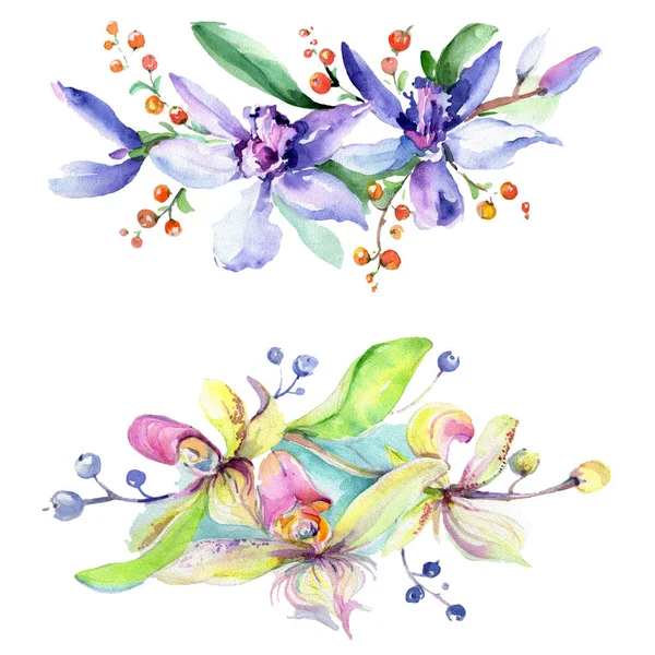 ピンクと紫の蘭 水彩画背景イラスト セット 水彩花花束イラスト要素 — ストック写真
