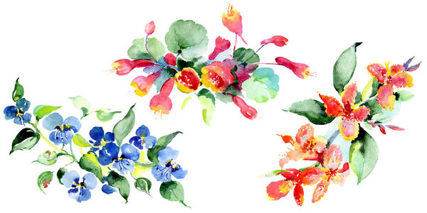 Bouquet of colorful spring flowers. Watercolor background illustration set. Watercolour drawing fashion aquarelle isolated. Isolated bouquet illustration element.