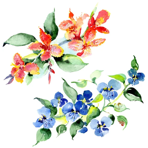 Buquê Flores Coloridas Primavera Conjunto Ilustração Fundo Aquarela Aquarelle Desenho — Fotografia de Stock