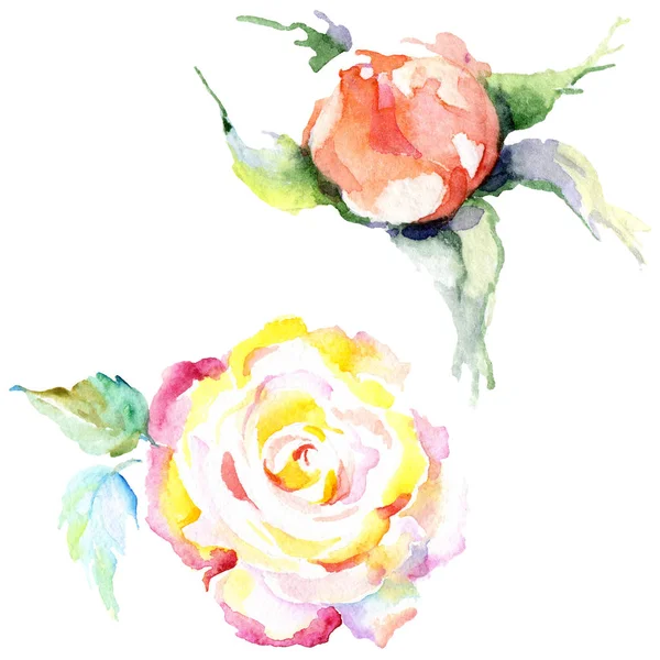 Fiori Rosa Arancione Acquerello Sfondo Illustrazione Set Acquerello Disegno Moda — Foto Stock