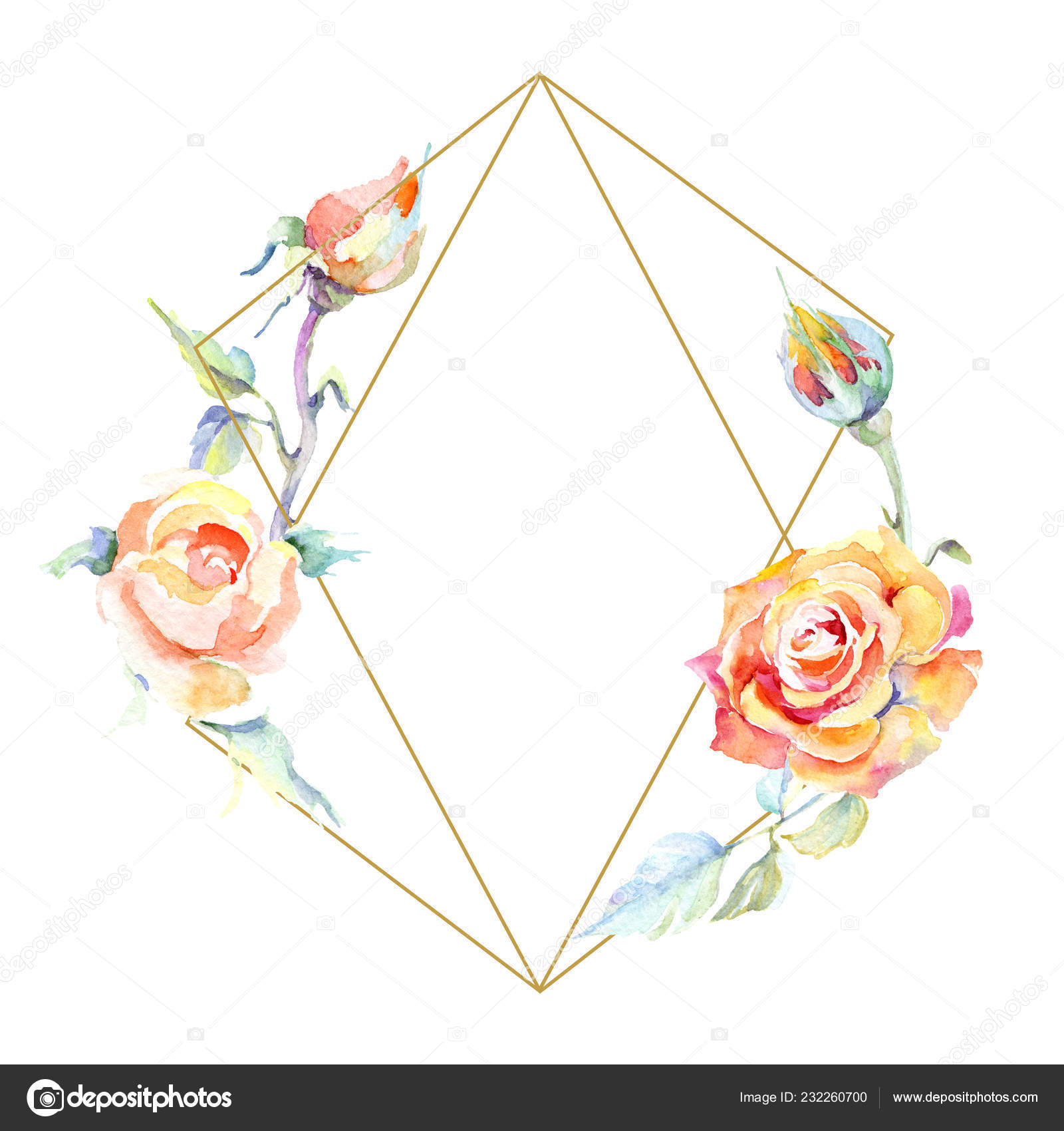 Frame Orange Rose Flowers Watercolor Background Illustration Set Watercolour Drawing Stock Photo C Andreyanush 232260700