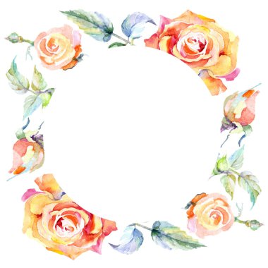 Turuncu gül çiçek çerçeveli. Suluboya arka plan illüstrasyon küme. Suluboya çizim moda aquarelle izole. Dekoratif kenarlık 