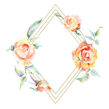 Turuncu gül çiçek çerçeveli. Suluboya arka plan illüstrasyon küme. Suluboya çizim moda aquarelle izole. Dekoratif kenarlık 