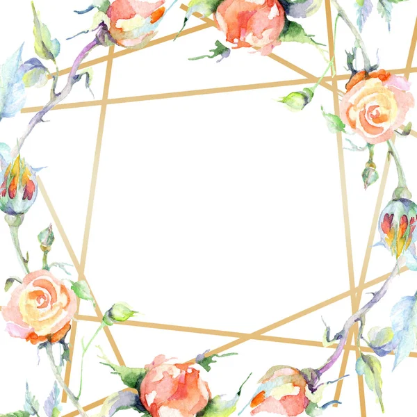 Cornice Con Fiori Rosa Arancio Acquerello Sfondo Illustrazione Set Acquerello — Foto Stock