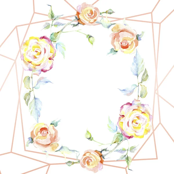 Cornice Con Fiori Rosa Arancio Acquerello Sfondo Illustrazione Set Acquerello — Foto Stock