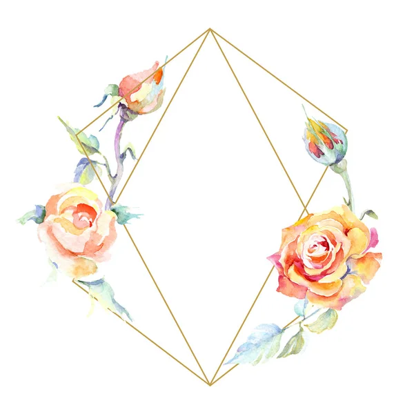 Cornice Con Fiori Rosa Arancio Acquerello Sfondo Illustrazione Set Acquerello — Foto Stock