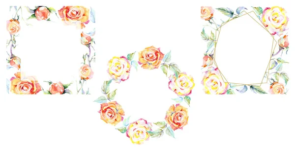 Καρέ Πορτοκαλί Τριαντάφυλλο Λουλούδια Ακουαρέλα Φόντο Εικόνα Σύνολο Ακουαρέλα Σχεδίασης — Φωτογραφία Αρχείου