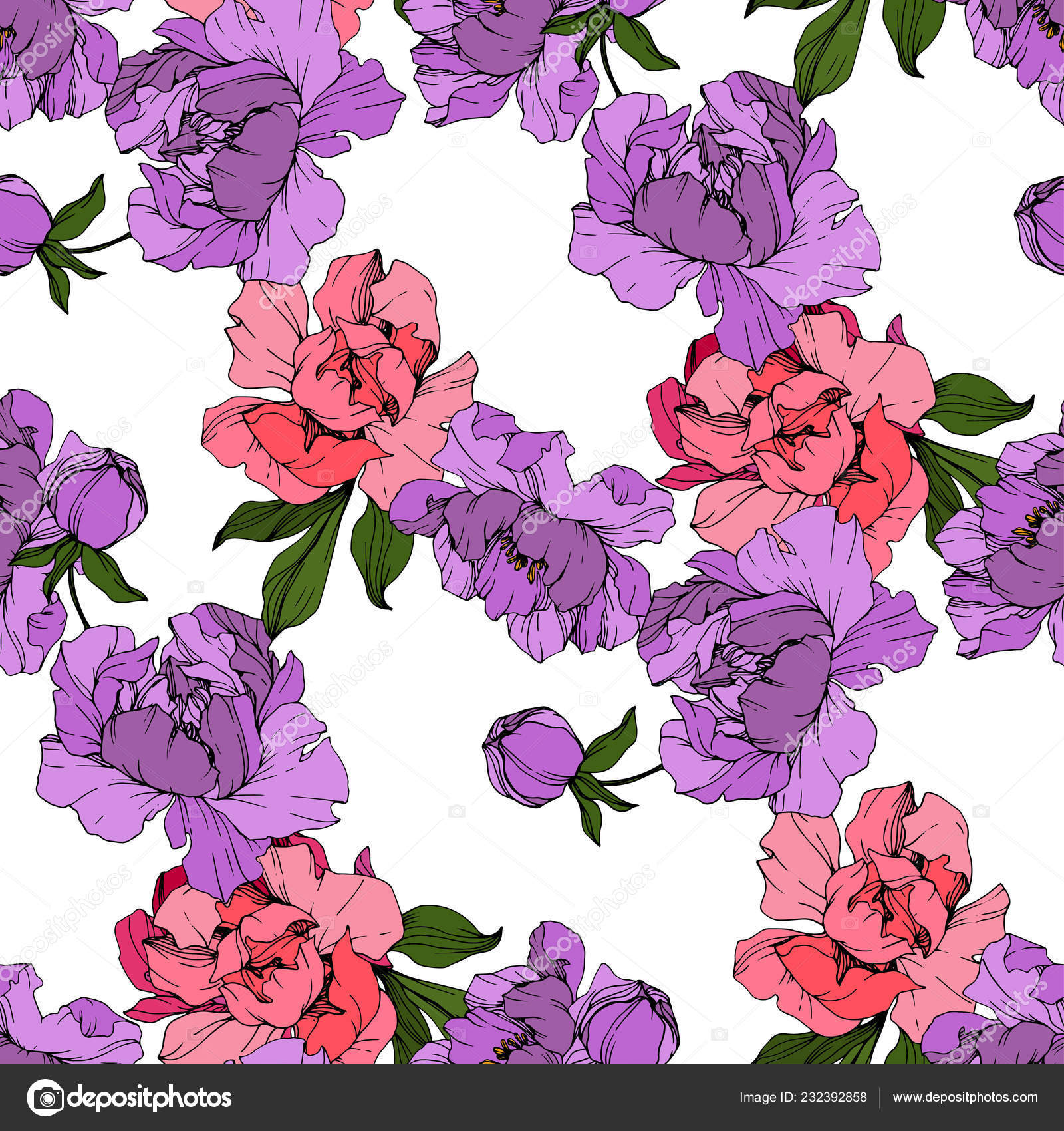 ベクターのピンクと紫牡丹 野生の花が白で隔離 刻まれたインク アート シームレスな背景パターン プリントのテクスチャーを壁紙します ストックベクター C Andreyanush