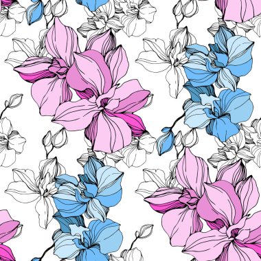 Pembe ve mavi vektör orkide. Çiçekler beyaz izole. Oyulmuş mürekkep sanat. Sorunsuz arka plan deseni. Yazdırma doku duvar kağıdı.
