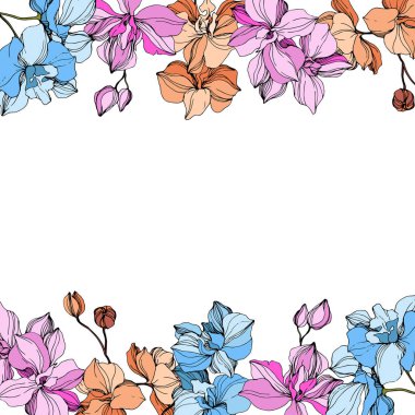Vector pink, orange and blue orchids. Wildflowers isolated on white. Engraved ink art. Floral frame border  clipart