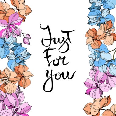 Vektör pembe, turuncu ve mavi orkide. Çiçekler beyaz izole. Oyulmuş mürekkep sanat. 'Sadece for you' yazı ile sınır çerçeve çiçek