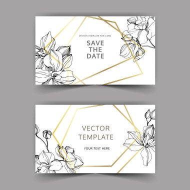 Vektör orkide. Oyulmuş mürekkep sanat. Arka plan kartları dekoratif çiçeklerle düğün. Davetiye kartları grafik afiş ayarla.