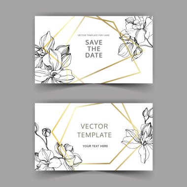 Vector orchids. Engraved ink art. Wedding background cards with decorative flowers. Invitation cards graphic set banner. clipart