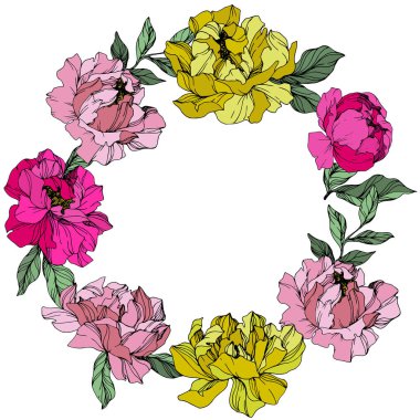 Pembe ve sarı vektör peonies. Çiçekler beyaz izole. Oyulmuş mürekkep sanat. Çiçekli çerçeve kenarlığı 