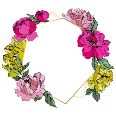 Pembe ve sarı vektör peonies. Çiçekler beyaz izole. Oyulmuş mürekkep sanat. Çiçekli çerçeve kenarlığı 