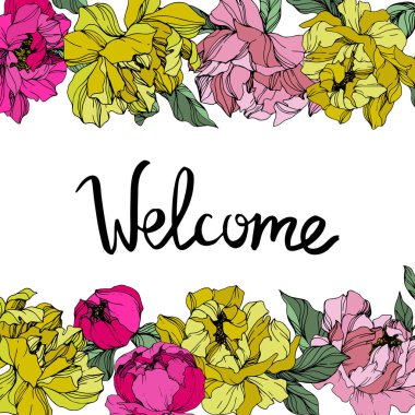 Vector Pink and yellow peonies. Wildflowers isolated on white. Engraved ink art. Floral frame border with 'welcome' lettering clipart