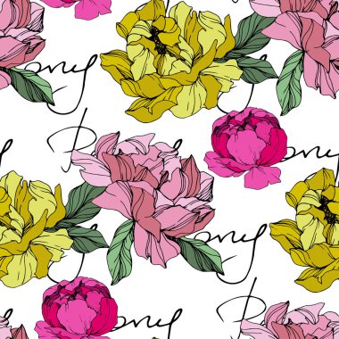 Pembe ve sarı vektör peonies. Çiçekler beyaz izole. Oyulmuş mürekkep sanat. Sorunsuz arka plan deseni. 'Şakayık' yazı ile yazdırma doku duvar kağıdı