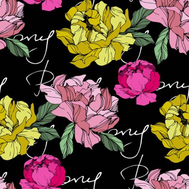 Vector Pink and yellow peonies. Wildflowers isolated on black. Engraved ink art. Seamless background pattern. Wallpaper print texture with 'peony' lettering clipart