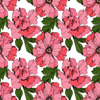 Pembe peonies vektör. Çiçekler beyaz izole. Oyulmuş mürekkep sanat. Sorunsuz arka plan deseni. Yazdırma doku duvar kağıdı.