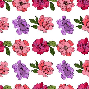 Pembe ve mor vektör peonies. Çiçekler beyaz izole. Oyulmuş mürekkep sanat. Sorunsuz arka plan deseni. Yazdırma doku duvar kağıdı.