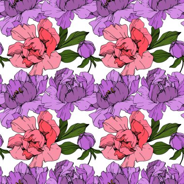 Pembe ve mor vektör peonies. Çiçekler beyaz izole. Oyulmuş mürekkep sanat. Sorunsuz arka plan deseni. Yazdırma doku duvar kağıdı.