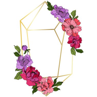 Pembe ve mor vektör peonies. Çiçekler beyaz izole. Oyulmuş mürekkep sanat. Çiçekli çerçeve kenarlığı 