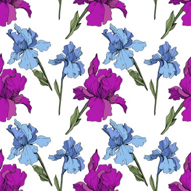 Vektör mor ve mavi süsen. Çiçekler beyaz izole. Oyulmuş mürekkep sanat. Sorunsuz arka plan deseni. Yazdırma doku duvar kağıdı.