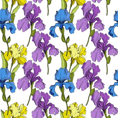 Vektör sarı, mavi ve mor Süsen. Beyaz izole renkli kır çiçekleri. Oyulmuş mürekkep sanat. Sorunsuz arka plan deseni. Yazdırma doku duvar kağıdı.