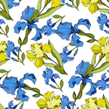 Vektör sarı ve mavi süsen. Beyaz izole renkli kır çiçekleri. Oyulmuş mürekkep sanat. Sorunsuz arka plan deseni. Yazdırma doku duvar kağıdı.