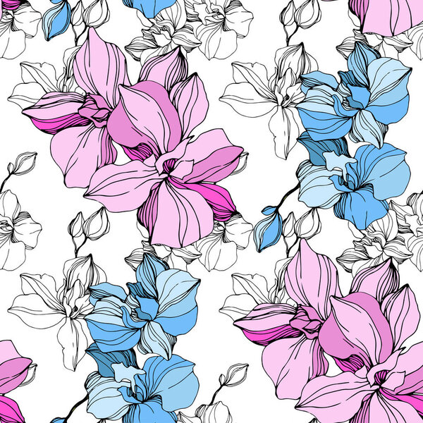 Vector Pink and blue orchids. Wildflowers isolated on white. Engraved ink art. Seamless background pattern. Wallpaper print texture.