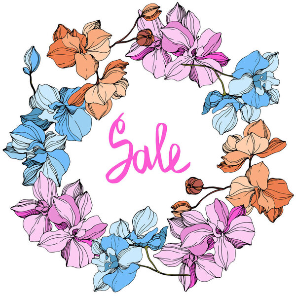 Векторные розовые, оранжевые и голубые орхидеи. Цветы изолированы на белом. Гравировка чернил. Граница цветочных рамок с надписью "продажа"
