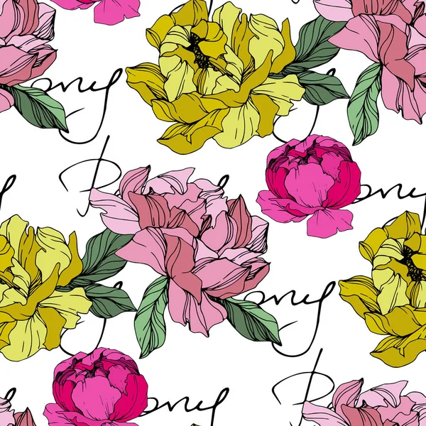 Vecteur Pivoines Rose Jaune Fleurs Sauvages Isolées Sur Blanc Encre — Image vectorielle