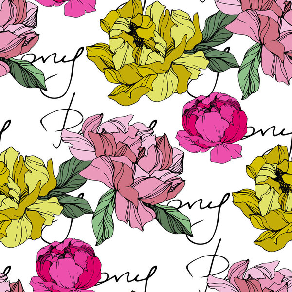 Vector Pink and yellow peonies. Wildflowers isolated on white. Engraved ink art. Seamless background pattern. Wallpaper print texture with 'peony' lettering