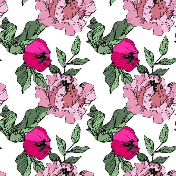 Векторно Розовые Пионы Цветы Изолированы Белом Гравировка Чернил Бесшовный Рисунок — стоковый вектор