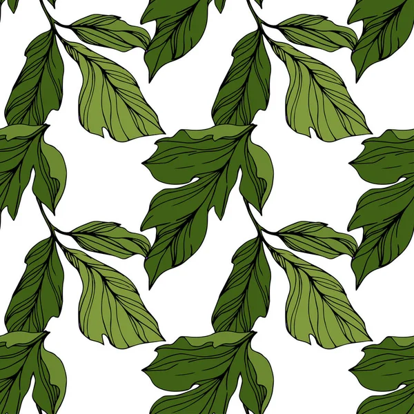 Vektorgrüne Blätter Isoliert Auf Weiß Tuschebilder Nahtlose Hintergrundmuster Tapete Drucken — Stockvektor