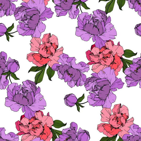 Векторные Розовые Фиолетовые Пионы Цветы Изолированы Белом Гравировка Чернил Бесшовный — стоковый вектор