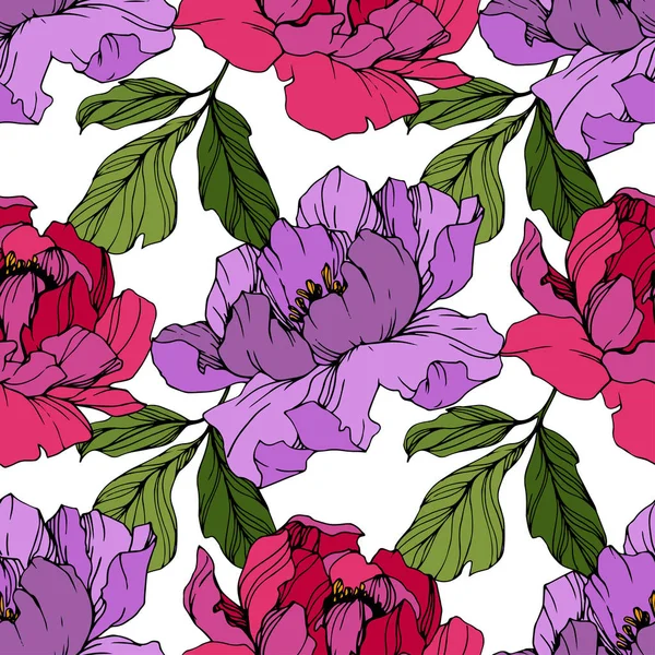 Vector Bujori Roz Violet Florile Sălbatice Izolate Alb Artă Cerneală — Vector de stoc