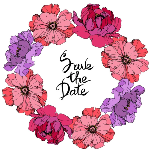 Векторні Рожеві Фіолетові Півонії Дикі Квіти Ізольовані Білому Вигравіруване Чорнило — стоковий вектор