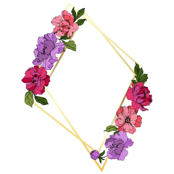 矢量粉红色和紫色牡丹 在白色查出的野花 雕刻的水墨艺术 花卉框架边框 — 图库矢量图片