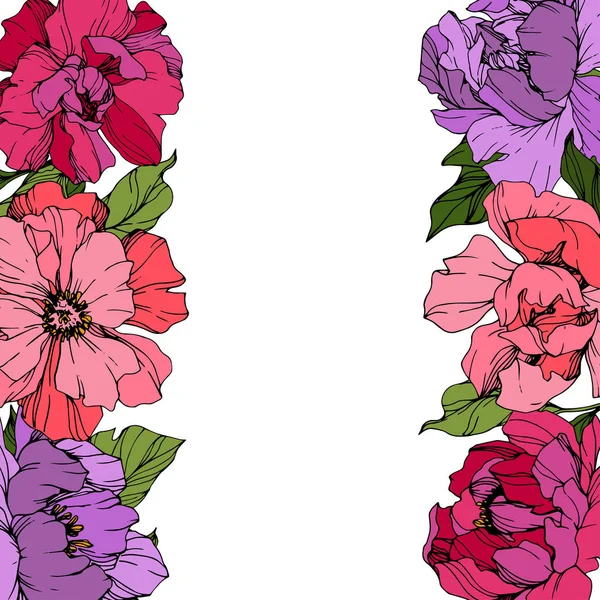 ベクターのピンクと紫牡丹 野生の花が白で隔離 刻まれたインク アート 花のフレームの枠線 — ストックベクタ