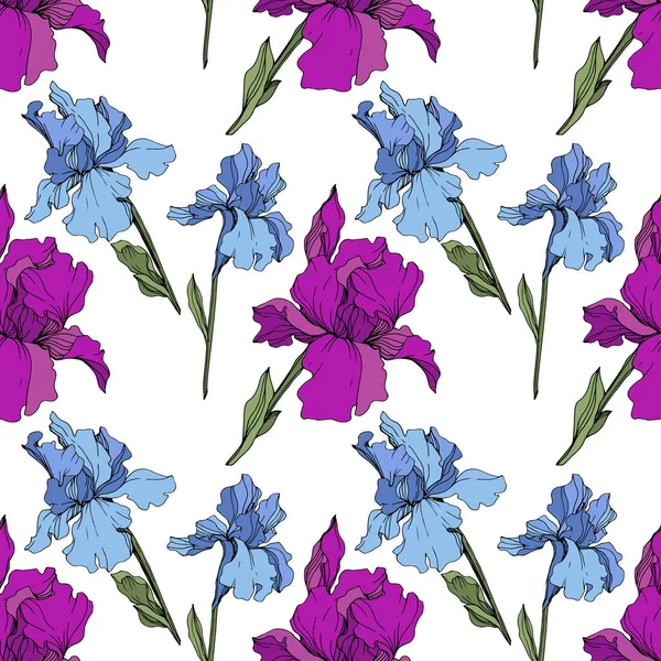 ベクトルの紫と青の菖蒲 野生の花が白で隔離 刻まれたインク アート シームレスな背景パターン プリントのテクスチャーを壁紙します — ストックベクタ