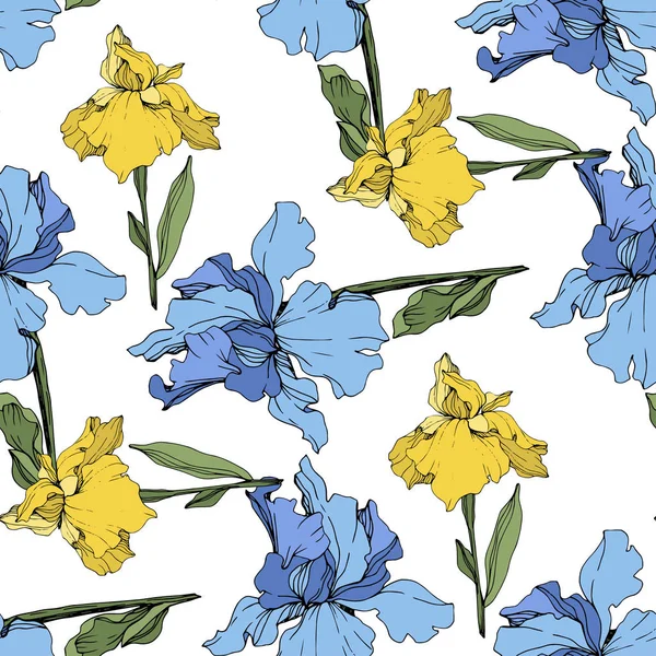 Iris Jaune Bleu Vecteur Fleurs Sauvages Isolées Sur Blanc Encre — Image vectorielle