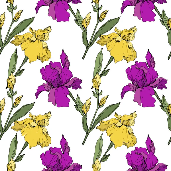 Vector Lila Och Gula Irisar Wildflowers Isolerade Vitt Graverade Bläck — Stock vektor