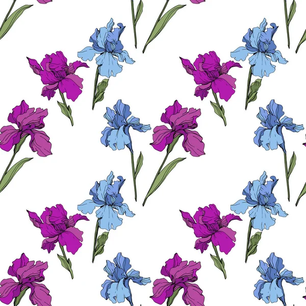Векторні Фіолетові Сині Іриси Дикі Квіти Ізольовані Білому Вигравіруване Чорнило — стоковий вектор