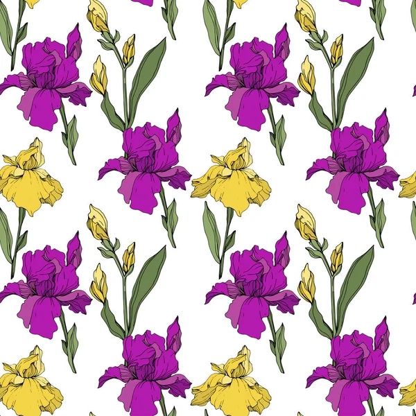 Vector Purple Yellow Irises Wildflowers Isolated White Engraved Ink Art — Stock Vector