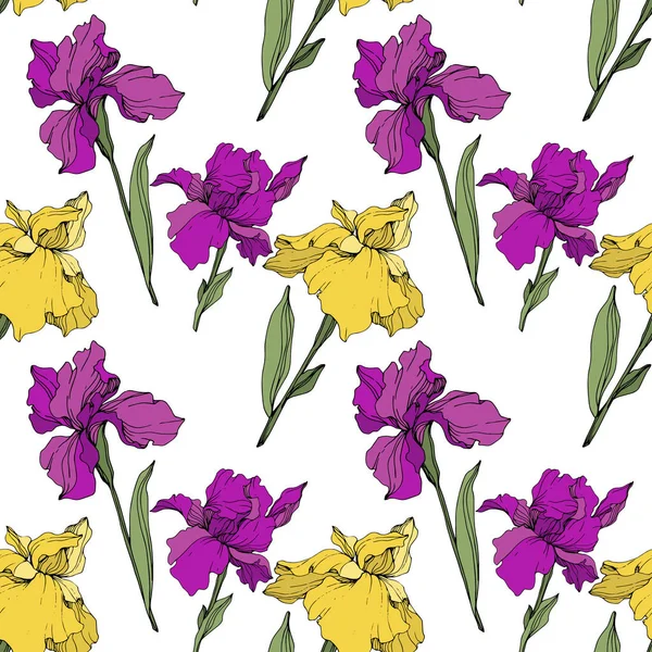 ベクトルの紫と黄色のアイリス 野生の花が白で隔離 刻まれたインク アート シームレスな背景パターン プリントのテクスチャーを壁紙します — ストックベクタ