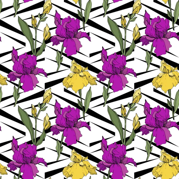 Векторні Фіолетові Жовті Іриси Дикі Квіти Декоративному Тлі Вигравіруване Чорнило — стоковий вектор