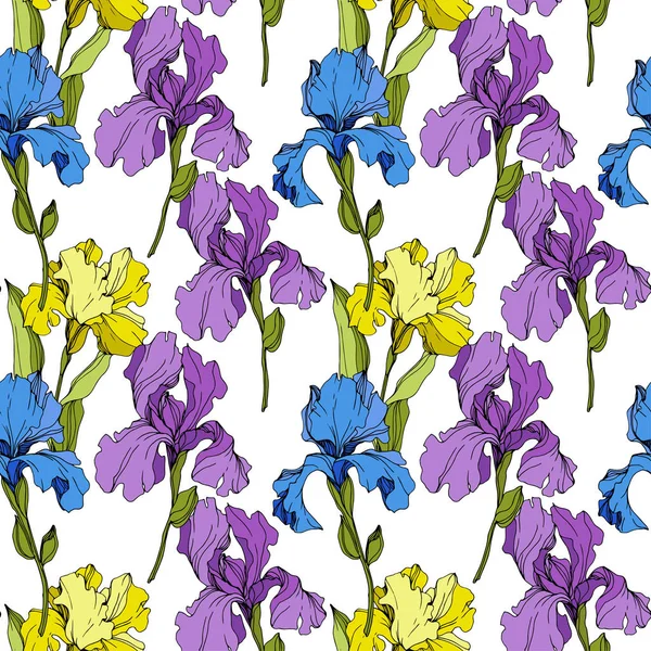 Iris Vectorial Amarilla Azul Púrpura Flores Silvestres Coloridas Aisladas Blanco — Archivo Imágenes Vectoriales